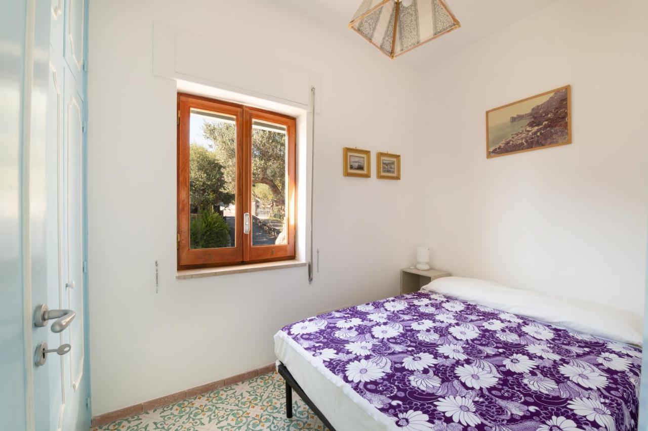 Main Roof Terrace Apartment Nerano Bagian luar foto