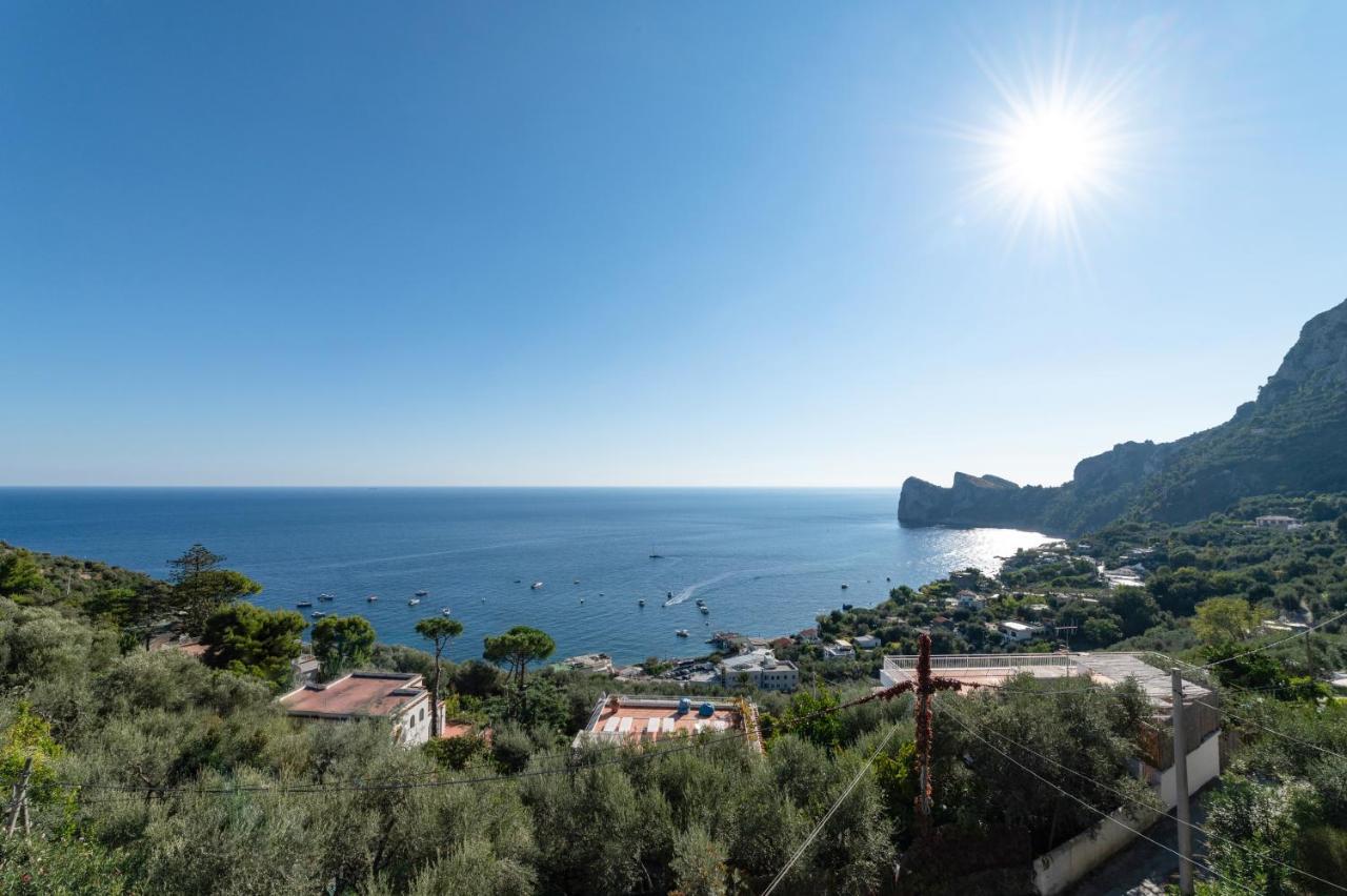 Main Roof Terrace Apartment Nerano Bagian luar foto