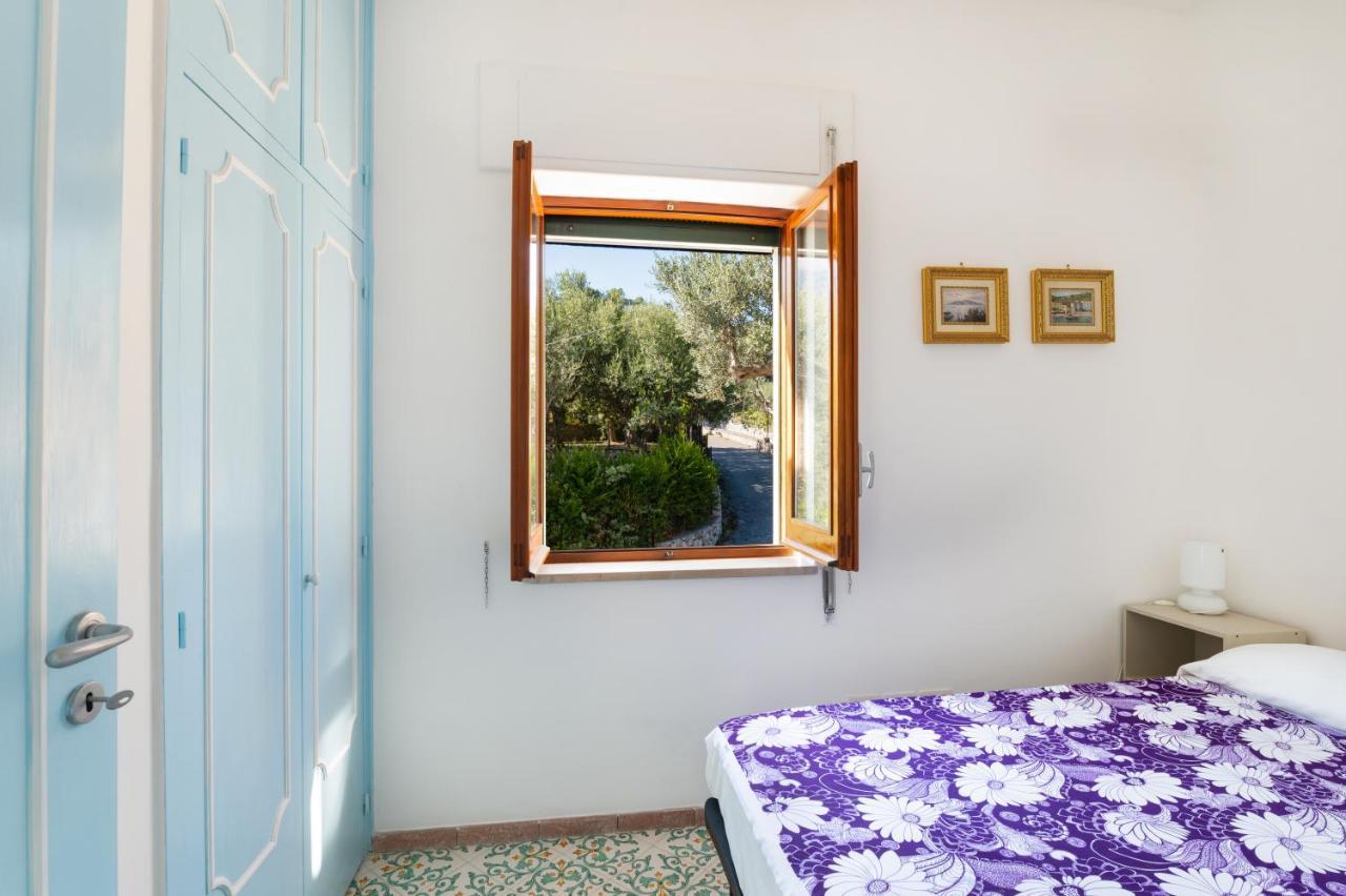 Main Roof Terrace Apartment Nerano Bagian luar foto